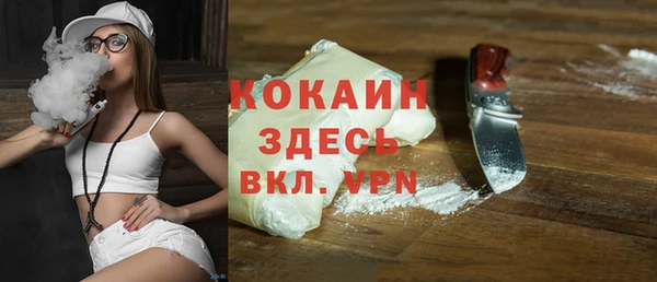 PSILOCYBIN Козловка