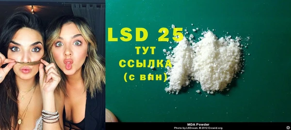 PSILOCYBIN Козловка
