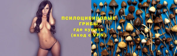 не бодяженный Козельск