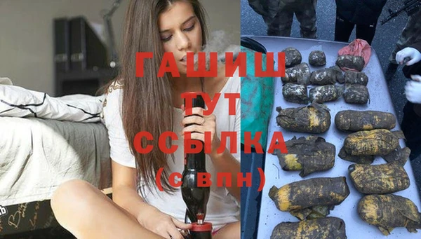 PSILOCYBIN Козловка