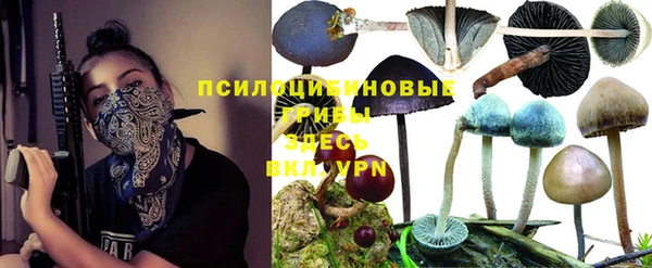 PSILOCYBIN Козловка