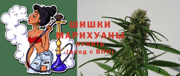 PSILOCYBIN Козловка