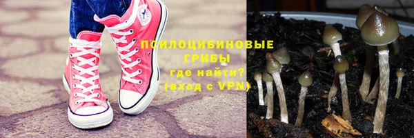 PSILOCYBIN Козловка