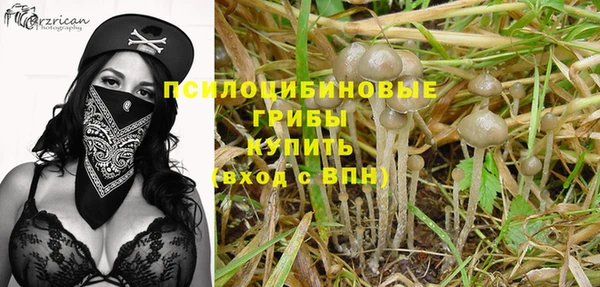 PSILOCYBIN Козловка