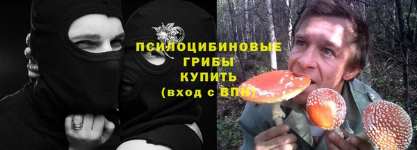не бодяженный Козельск