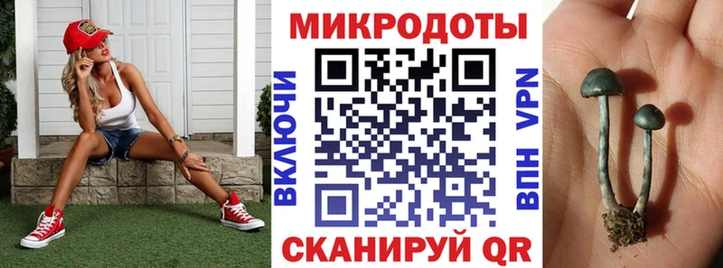 Купить  Первомайск  Псилоцибиновые грибы GOLDEN TEACHER 