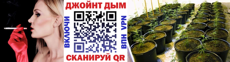 Купить  Первомайск  Канабис тримм 